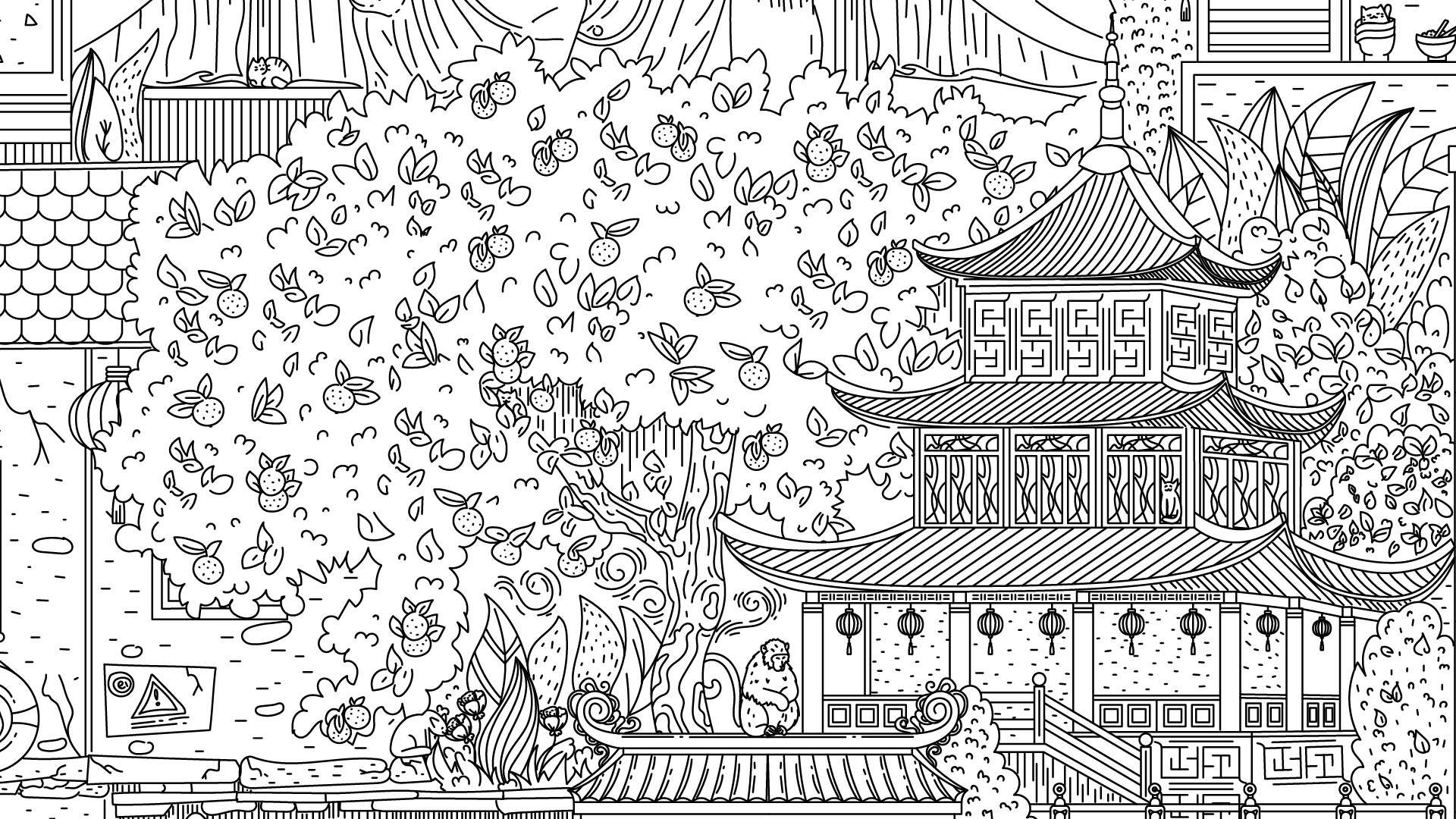 隐藏在中国的猫/Cats Hidden in China_菜菜笔记