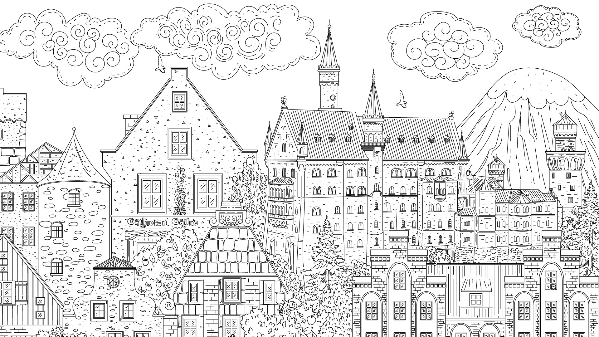 隐藏在德国的猫/Cats Hidden in Germany_菜菜笔记