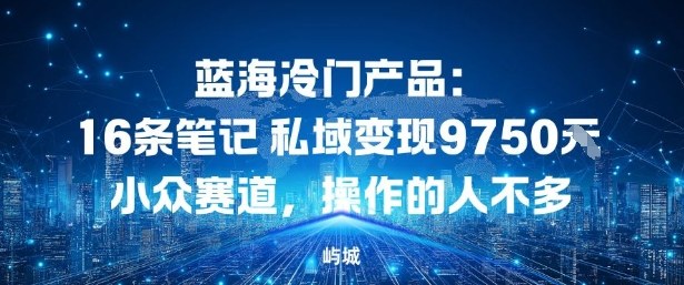 蓝海冷门产品：16条笔记私域变现9750米，小众赛道，操作的人不多_菜菜笔记