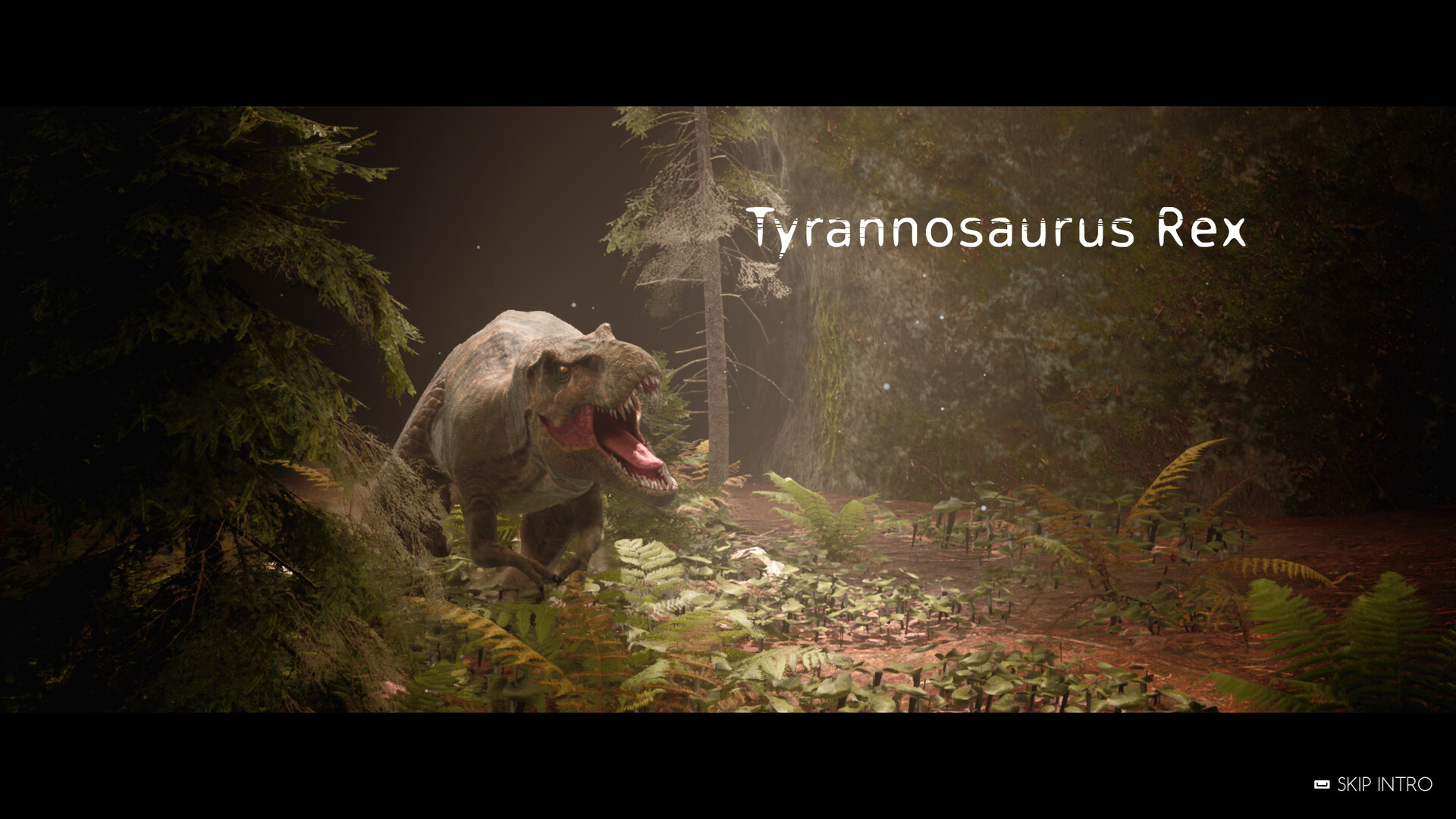 骨之王者/King of Bones_菜菜笔记