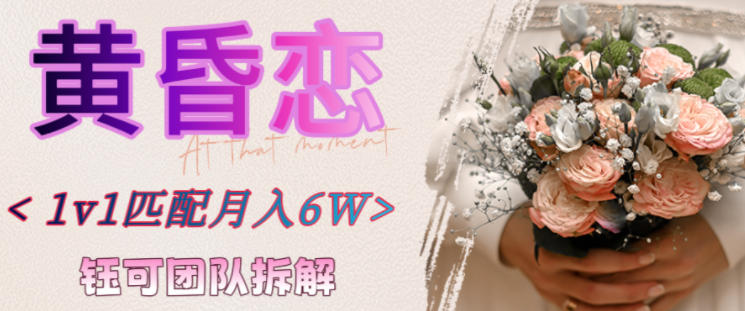 副业拆解：黄昏恋1对1匹配月入6个，潜力巨大_菜菜笔记