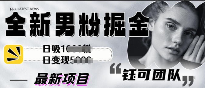 全新男粉掘金思路日吸粉100+日变现1k+_菜菜笔记