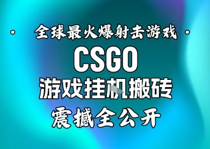 【年底大揭秘】基于全球最火爆的射击CSGO游戏挂G搬砖，日入5张+，震撼公开_菜菜笔记