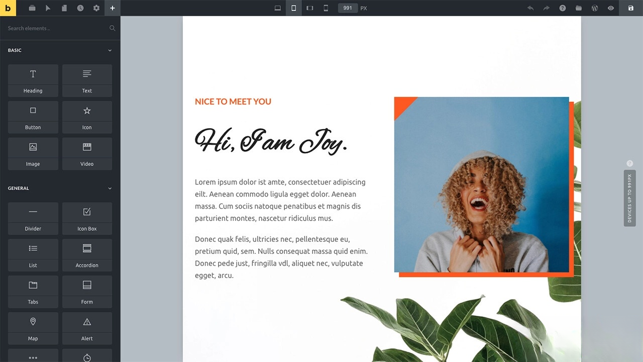 WordPress主题Bricks v1.9 破解版_菜菜笔记