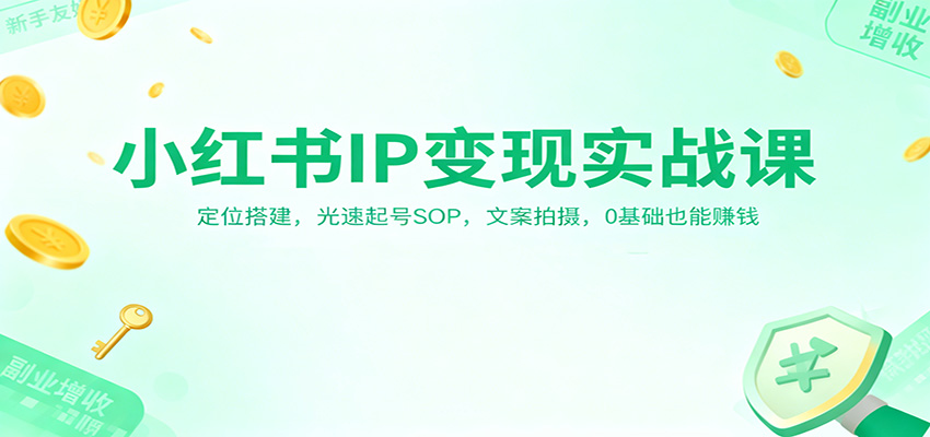 小红书IP变现实战课：定位搭建，光速起号SOP，文案拍摄，0基础也能赚钱_菜菜笔记