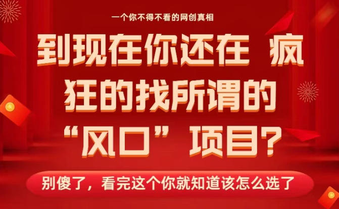 马上26年了，你还在找所谓的风口项目？别傻了，看完这个你全都懂了！【揭秘】_菜菜笔记