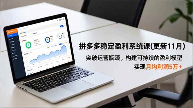 （16641期）拼多多稳定盈利系统课(更新11月)，突破运营瓶颈，构建可持续的盈利模型，实现月均利润5万+_菜菜笔记