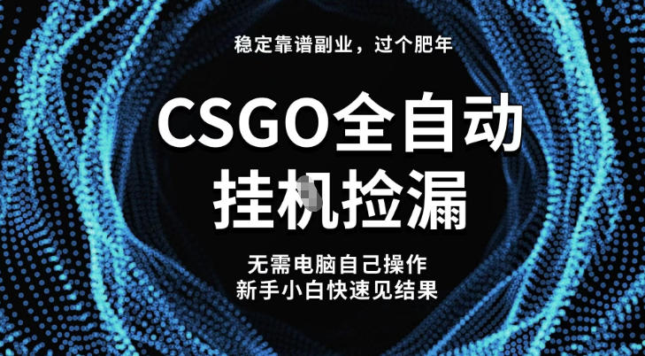 【稳定副业】全球最热门游戏CSGO全自动捡漏，最新玩法，新手小白日入5张+【揭秘】_菜菜笔记