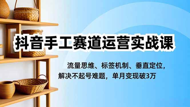 （16667期）抖音手工赛道运营实战课，流量思维、标签机制、垂直定位，解决不起号难题，单月变现破3万_菜菜笔记