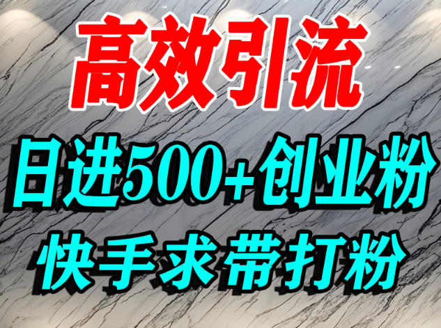 怎么打创业粉？快手求带视角精准引流创业粉，宝妈、学生群体日进500+精准流量_菜菜笔记