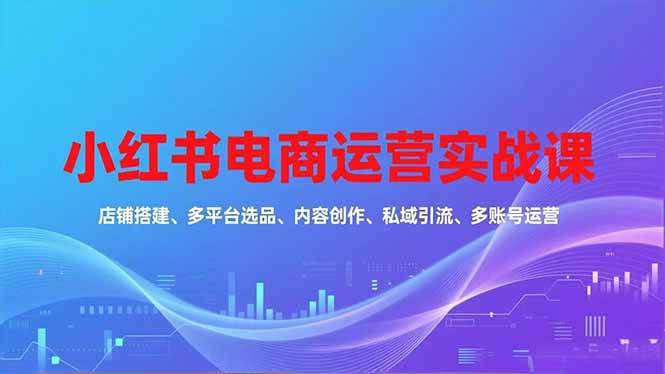 （16695期）小红书电商运营实战课，店铺搭建、多平台选品、内容创作、私域引流、多账号运营等玩法_菜菜笔记