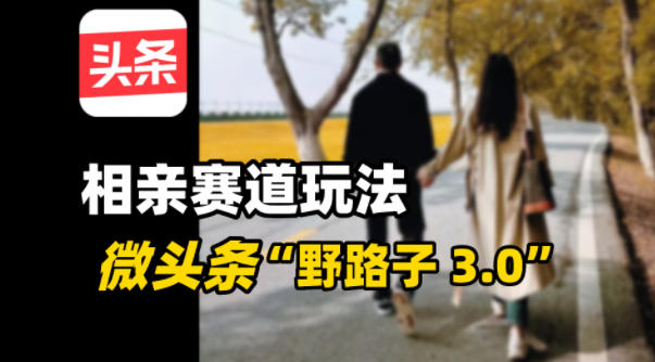 微头条“野路子3.0”相亲赛道玩法，搬砖式操作单号稳定3张_菜菜笔记