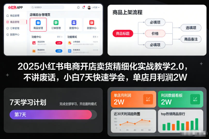2025小红书电商开店卖货精细化实战教学2.0，不讲废话，小白7天快速学会，单店月利润2W_菜菜笔记