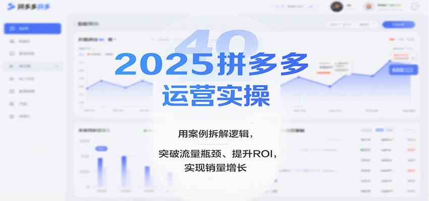 2025拼多多运营实操，用案例拆解逻辑，突破流量瓶颈、提升ROI，实现销量增长（更新）_菜菜笔记