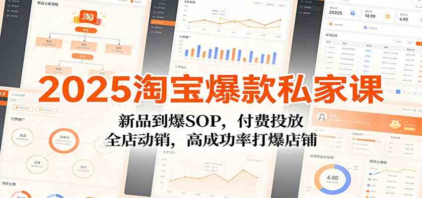 2025淘宝爆款私家课：新品到爆SOP，付费投放，全店动销，高成功率打爆店铺_菜菜笔记