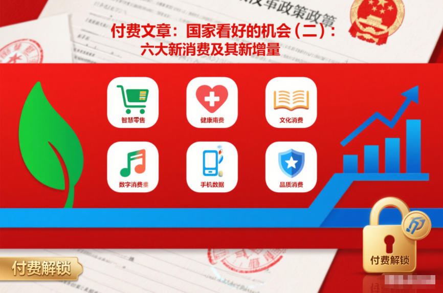 付费文章：国家看好的机会(二)：六大新消费及其新增量 付费文章：国家看好的机会(一):未来最有前景的13个消费赛道_菜菜笔记