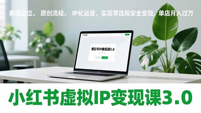 （17029期）小红书虚拟IP变现课3.0，赛道定位、原创流程、IP化运营，实现零违规安全变现，单店月入过万_菜菜笔记