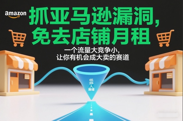 抓亚马逊漏洞，免去店铺月租，一个流量大竞争小，让你有机会成大卖的赛道_菜菜笔记
