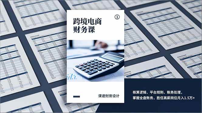 （17036期）跨境电商财务课，核算逻辑、平台规则、账务处理，掌握全盘账务，胜任高薪岗位月入1.5万+_菜菜笔记