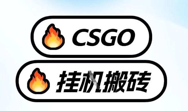 真全网独家CSGO挂G，最新玩法,单日捡漏1K+，不用电脑，不用打游戏【揭秘】_菜菜笔记