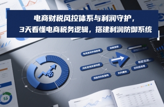 电商财税风控体系与利润守护，3天看懂电商税务逻辑，搭建利润防御系统_菜菜笔记