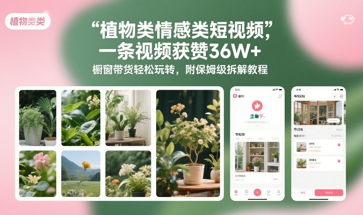 植物类情感类短视频，一条视频获赞36W+，橱窗带货轻松玩转，附保姆级拆解教程_菜菜笔记
