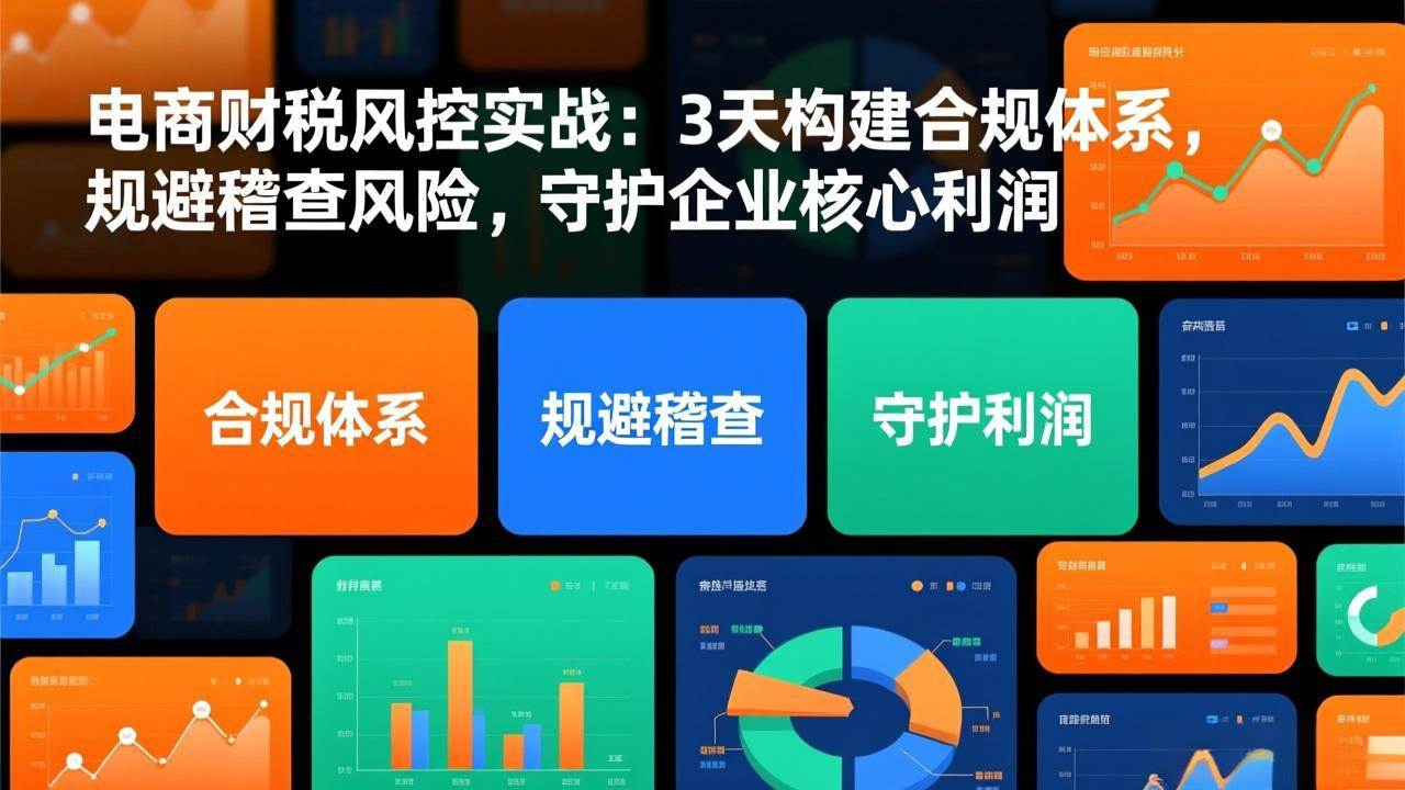 （17197期）电商财税风控实战：3天构建合规体系，规避稽查风险，守护企业核心利润_菜菜笔记