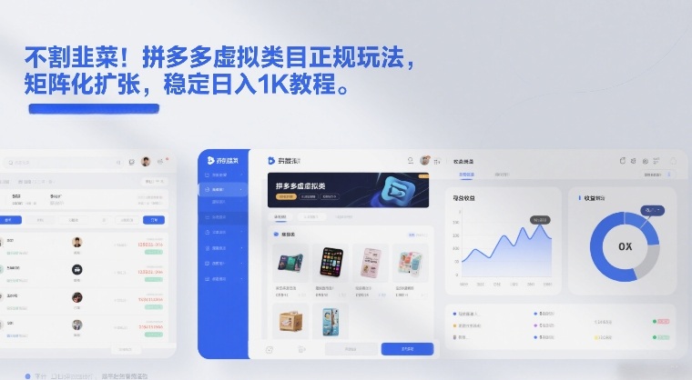 不割韭菜！拼多多虚拟类目正规玩法，矩阵化扩张，稳定日入1K教程【揭秘】_菜菜笔记