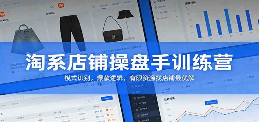 淘系店铺操盘手训练营：模式识别，爆款逻辑，有限资源找店铺最优解_菜菜笔记