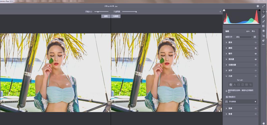 RAW处理Adobe Camera Raw v18.2.0中文版_菜菜笔记