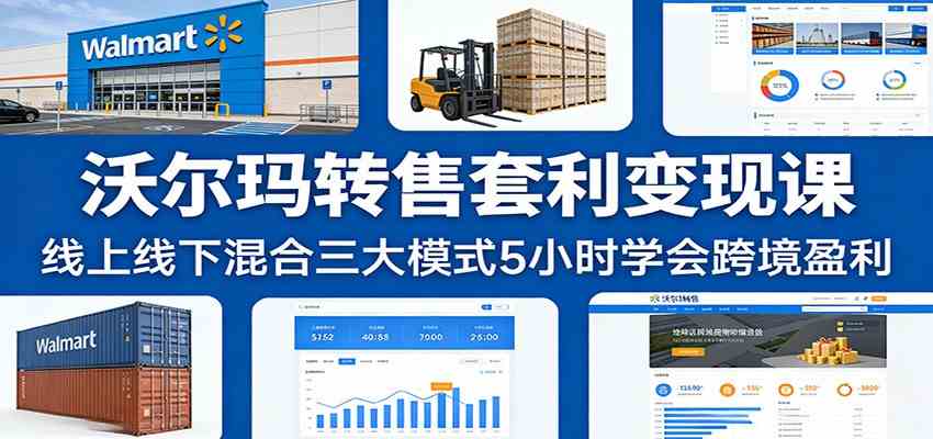 沃尔玛转售套利变现课：线上线下混合三大模式5小时学会跨境盈利_菜菜笔记