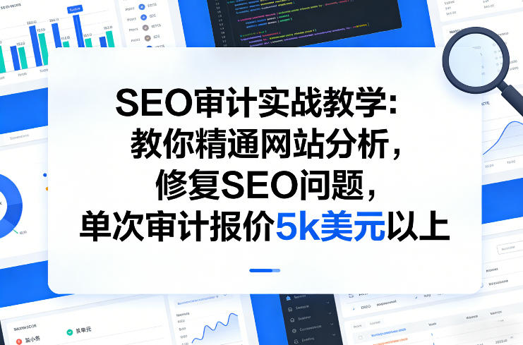 SEO审计实战教学：教你精通网站分析，修复SEO问题，单次审计报价5k美元以上_菜菜笔记